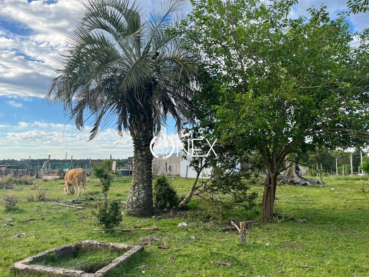 Terreno ID.3525 - Se vende terreno de 3200 m en Los molles Tacuarembó 