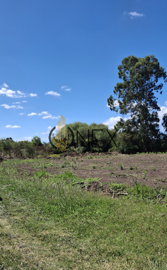 Terreno ID.4240 - Se vende lote de terrenos en ciudad de Rocha.