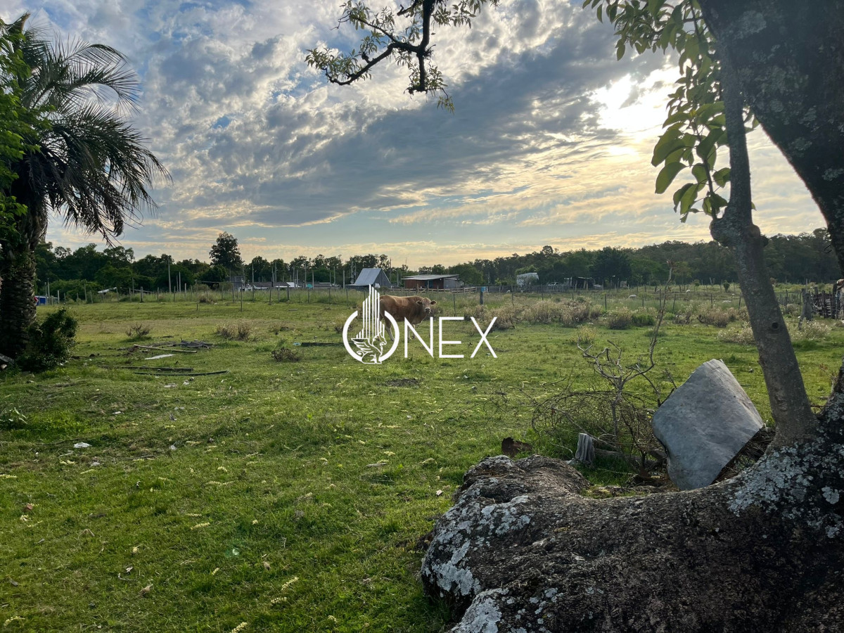 Terreno ID.3525 - Se vende terreno de 3200 m en Los molles Tacuarembó 