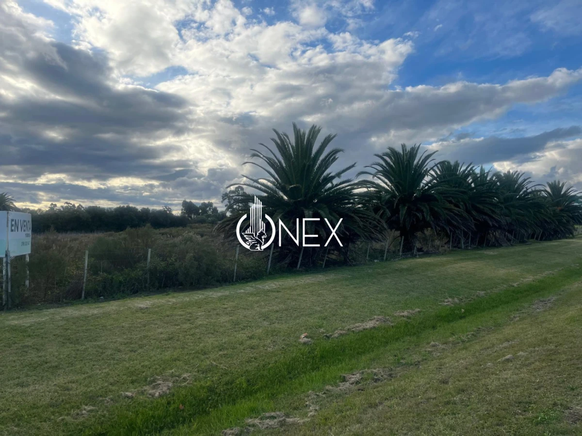 Terreno ID.4555 - Terreno en venta sobre ruta 9 ,Rocha. Excelente oportunidad de inversión en ubicación estratégica.