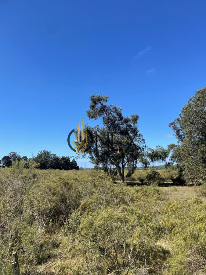 Terreno ID.4308 - Venta de 4 Terrenos ruta 39. Maldonado