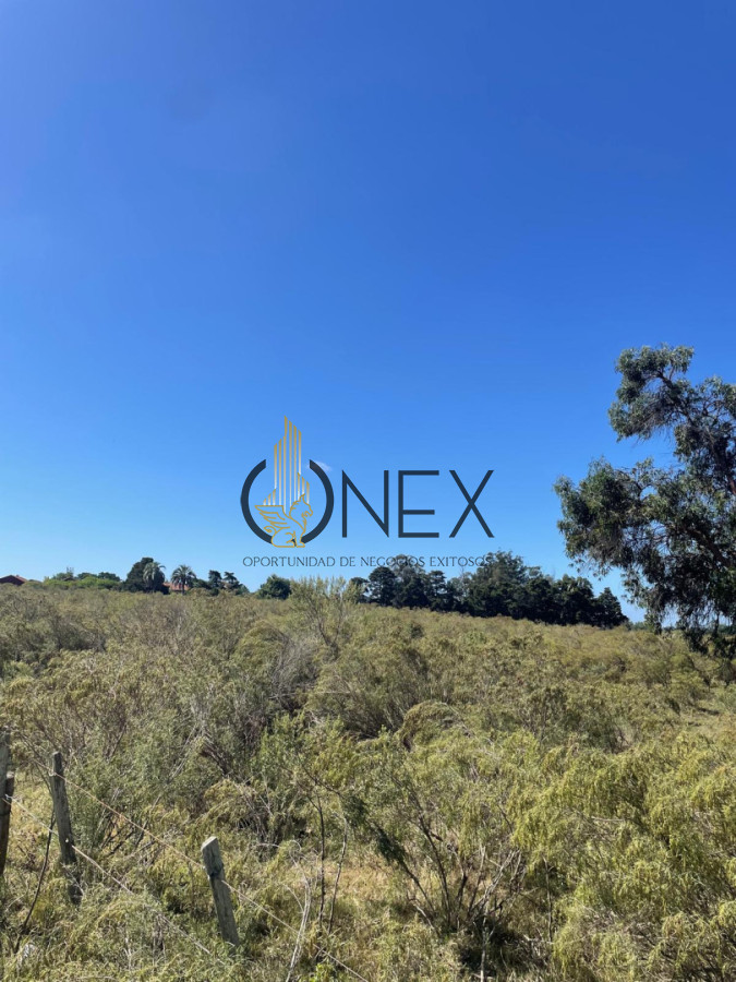 Terreno ID.4308 - Venta de 4 Terrenos ruta 39. Maldonado
