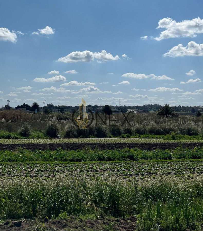 Terreno ID.1273 - SE VENDE TERRENO BARRIOS PRIVADOS CANELONES. A METROS CAMINO DE LOS HORNEROS 