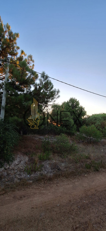 Terreno ID.1596 - Venta de terreno en Jaureguiberry