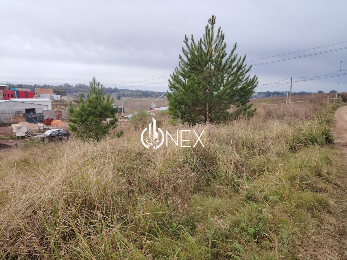 Terreno ID.4654 - Se vende terreno de 600 m2 en Barrio Echeverry Tacuarembó 