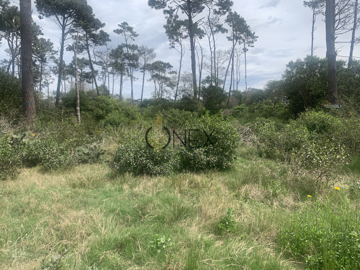 Terreno ID.1402 - Venta de Hermoso Terreno