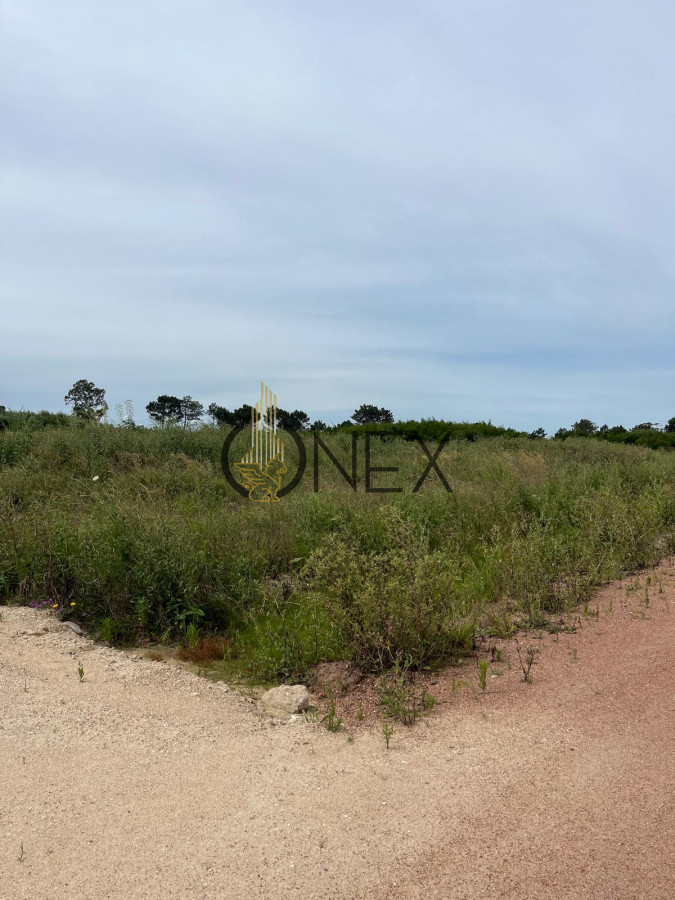 Terreno ID.1551 - SE VENDE TERRENO EN NEPTUNIA SUR