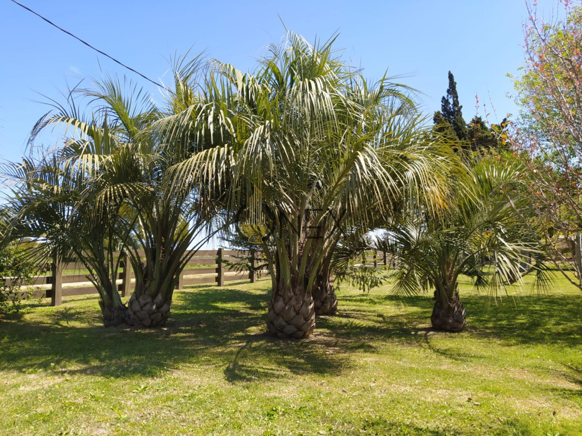 Terreno ID.3247 - venta gran lote con mejoras 7828 mtrs2