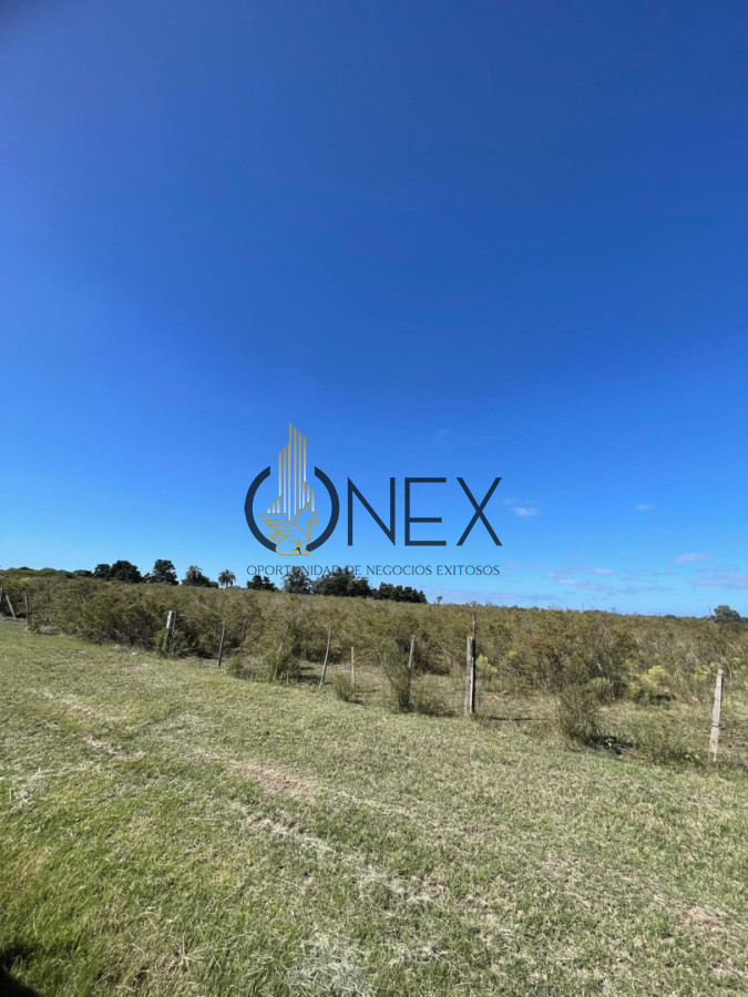 Terreno ID.4308 - Venta de 4 Terrenos ruta 39. Maldonado