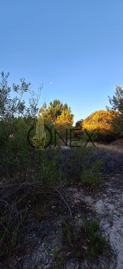 Terreno ID.1596 - Venta de terreno en Jaureguiberry