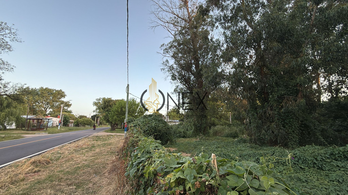 Terreno ID.1498 - Venta de terreno en San Luis