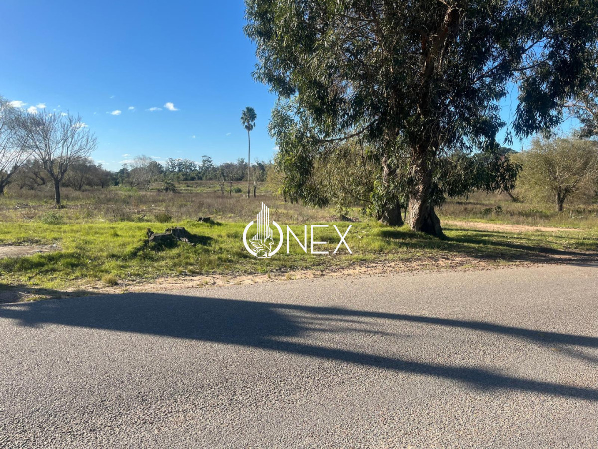 Terreno ID.4513 - Vendo terreno en Barrio Golf de 1.577 m2 , entrega 50% y financia el resto.