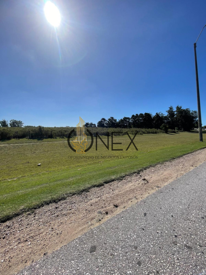 Terreno ID.4308 - Venta de 4 Terrenos ruta 39. Maldonado