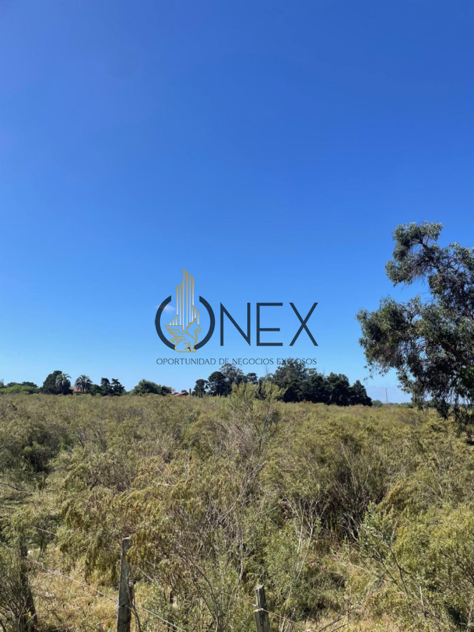 Terreno ID.4308 - Venta de 4 Terrenos ruta 39. Maldonado
