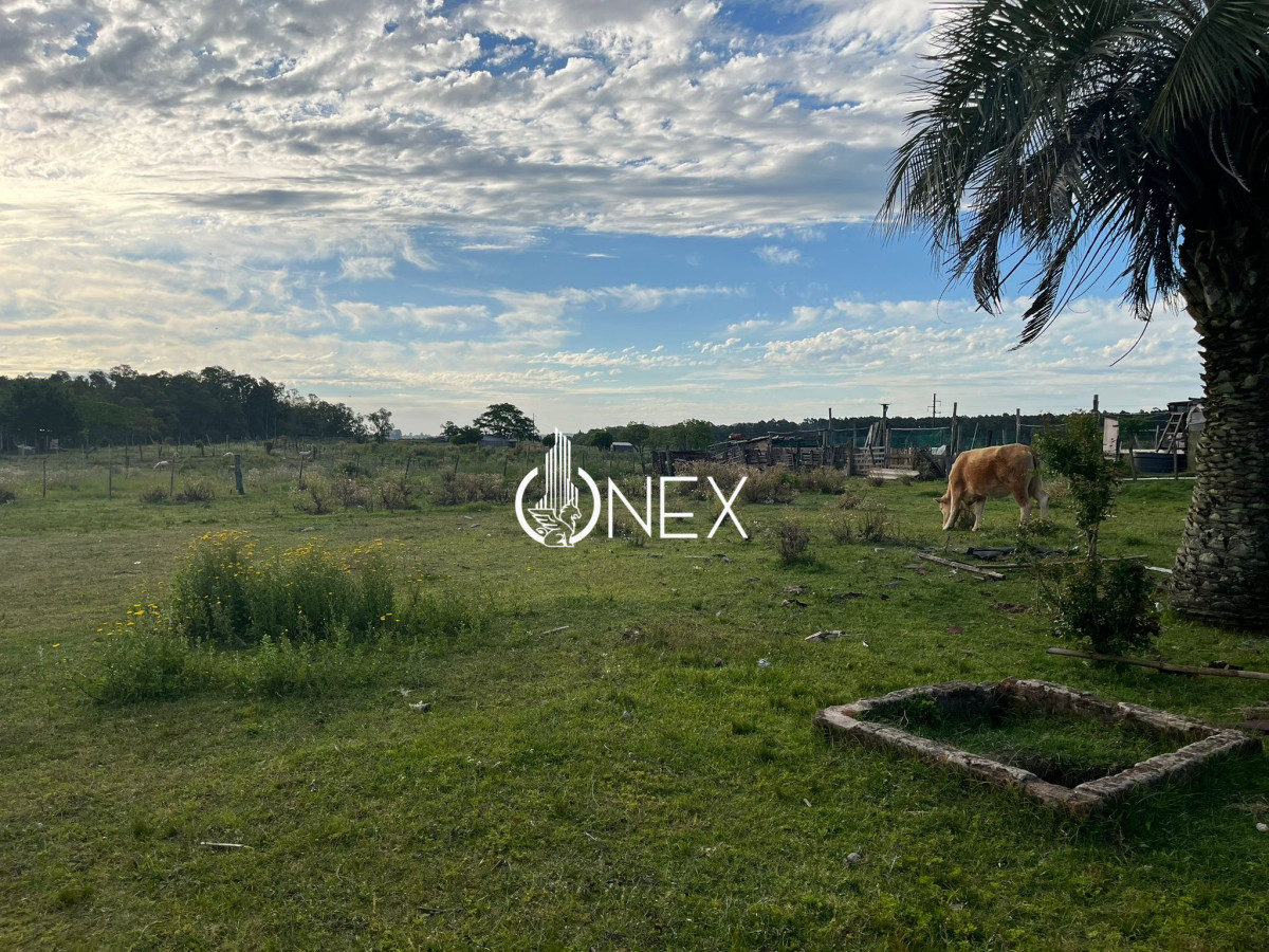 Terreno ID.3525 - Se vende terreno de 3200 m en Los molles Tacuarembó 