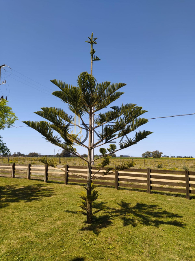 Terreno ID.3247 - venta gran lote con mejoras 7828 mtrs2