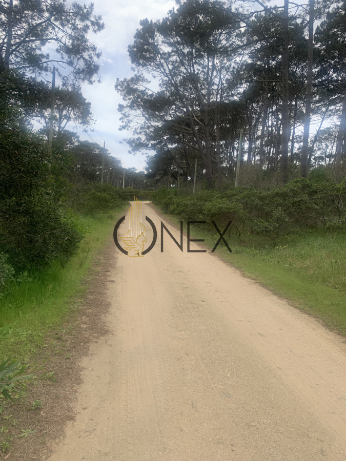Terreno ID.1402 - Venta de Hermoso Terreno