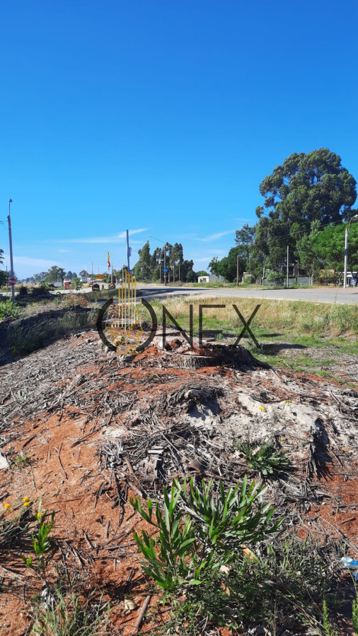 Terreno ID.1502 - Se vende terreno en Salinas norte.