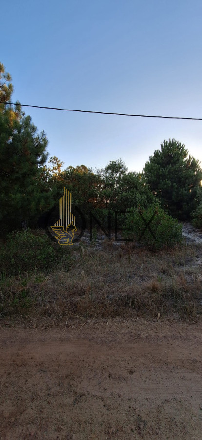 Terreno ID.1596 - Venta de terreno en Jaureguiberry