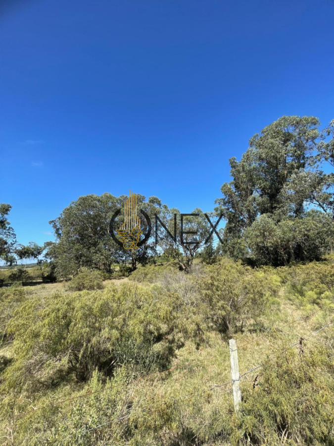 Terreno ID.4308 - Venta de 4 Terrenos ruta 39. Maldonado