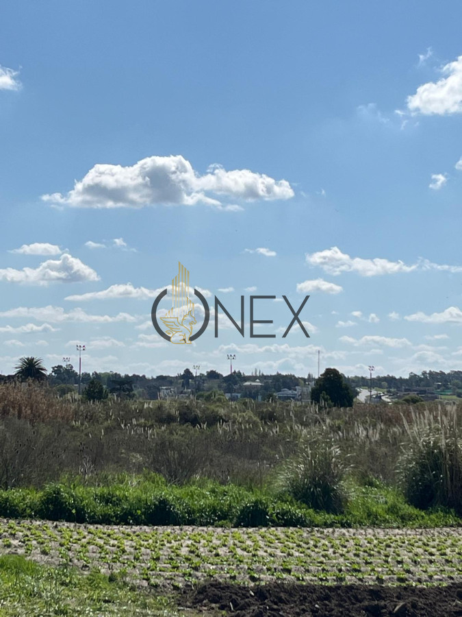 Terreno ID.1273 - SE VENDE TERRENO BARRIOS PRIVADOS CANELONES. A METROS CAMINO DE LOS HORNEROS 