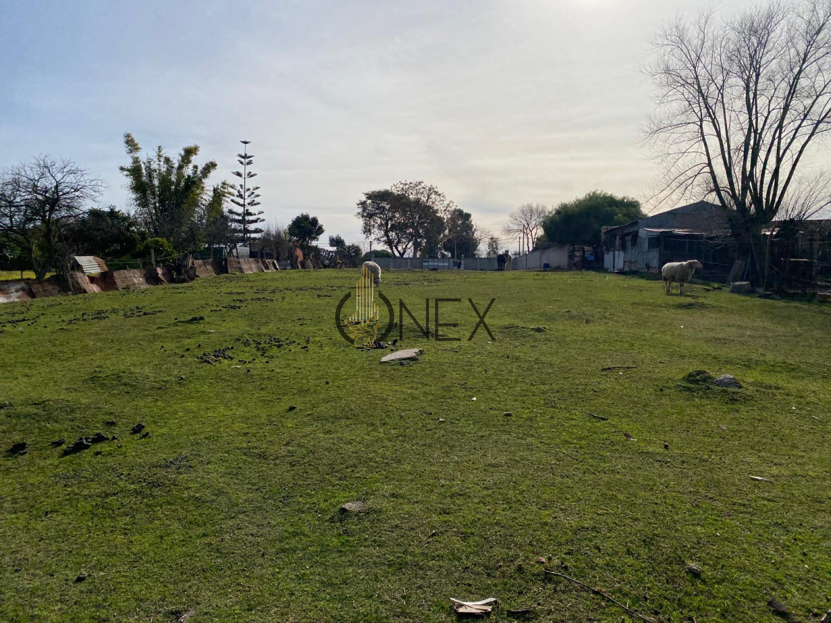 Terreno ID.3036 - Venta Terreno Listo para construir 1909m²