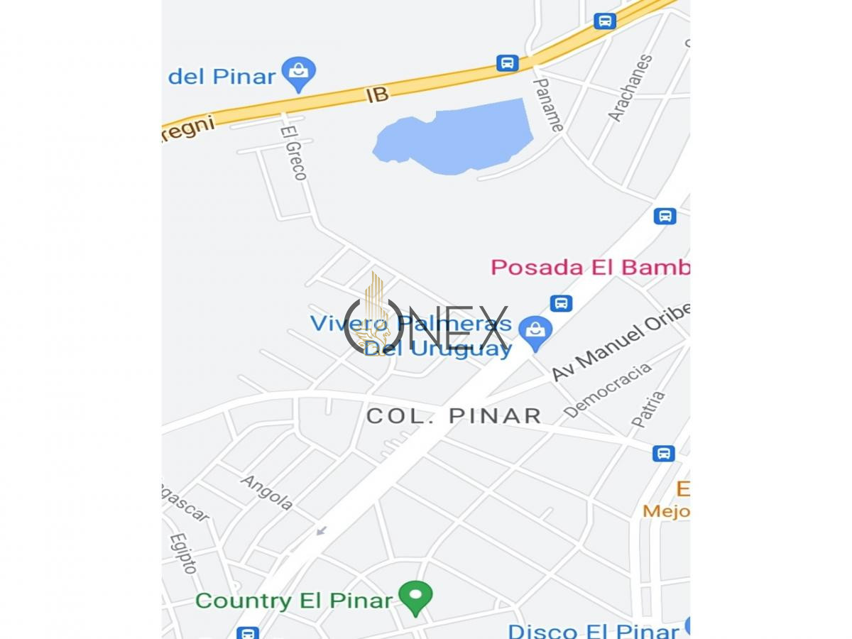 Terreno ID.196 - TERRENO GRANDE PARA TU NUEVO PROYECTO