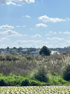 SE VENDE TERRENO BARRIOS PRIVADOS CANELONES. A METROS CAMINO DE LOS HORNEROS 