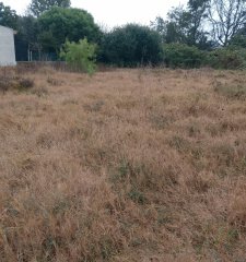 Onex Vende 2 Terrenos en Parque del Plata Sur