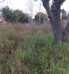 Onex Vende Terreno en San Luis Sur