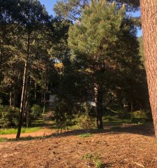 Terreno en Punta Ballena, Club del Lago
