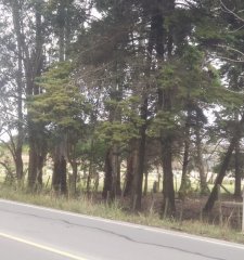 Terreno En Venta Ultimo Lote próximo a Car One