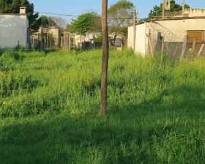 Se vende terreno en Ciudad de Rocha.