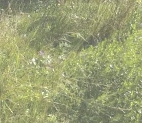 Venta de terreno en Parque del Plata Nte