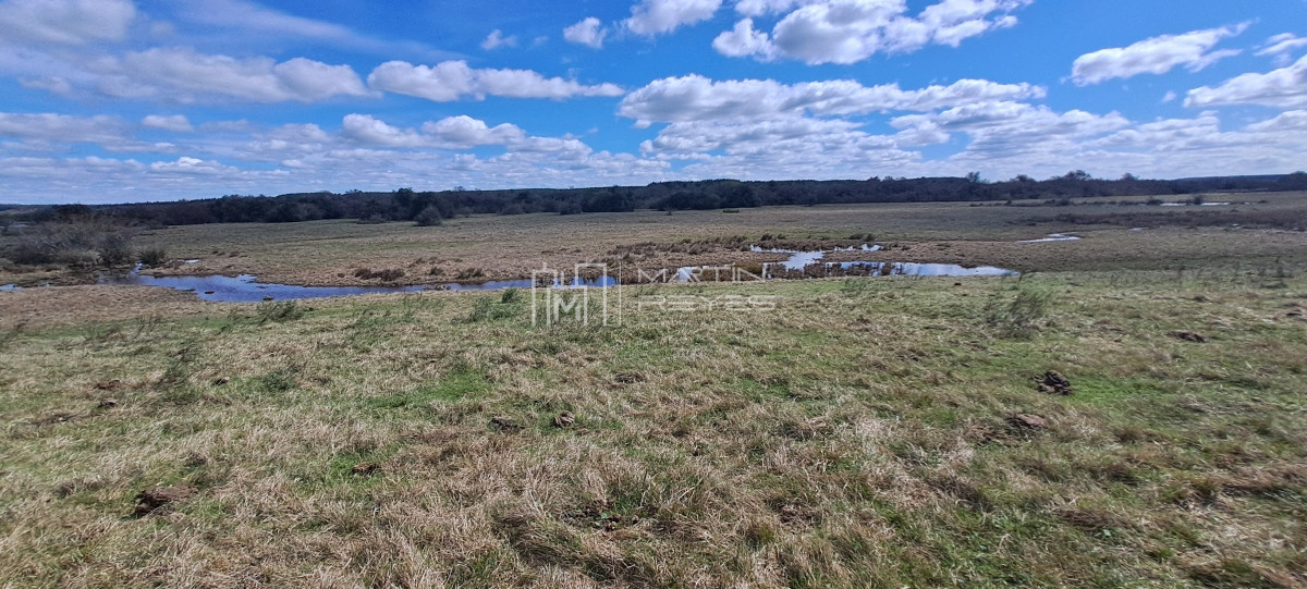 Campo Ref.952 - Venta Campo en Rivera Ruta 27 Cerros de la Calera 112 hás