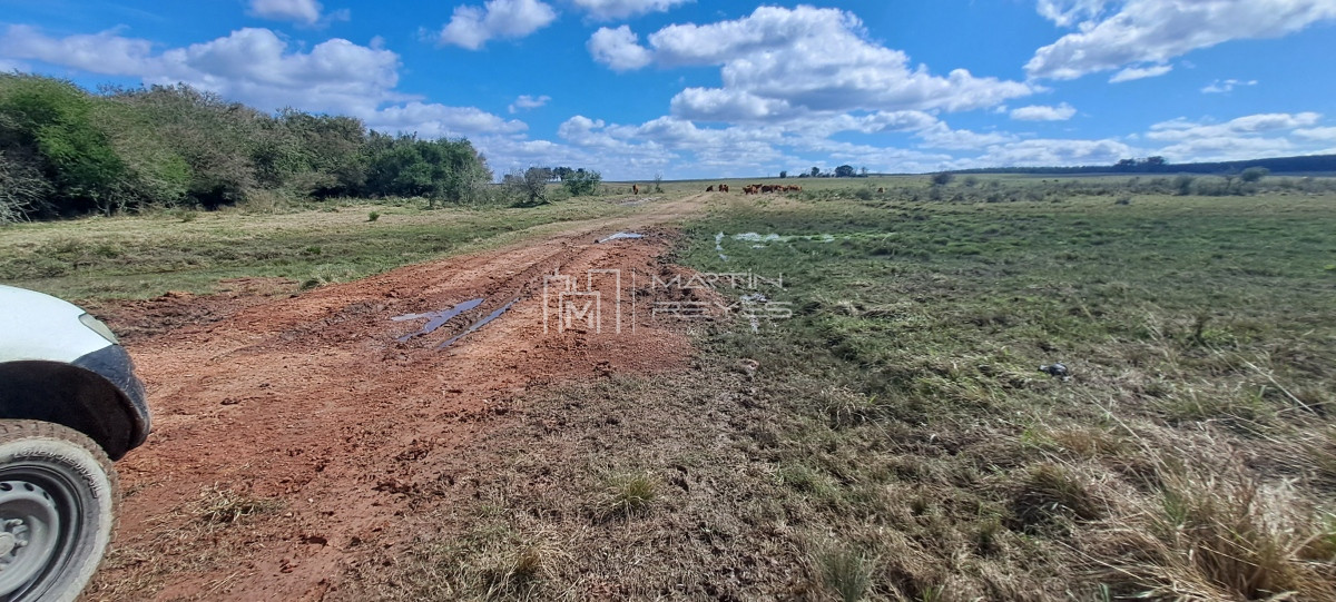 Campo Ref.952 - Venta Campo en Rivera Ruta 27 Cerros de la Calera 112 hás