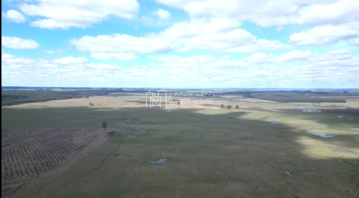 Campo Ref.952 - Venta Campo en Rivera Ruta 27 Cerros de la Calera 112 hás