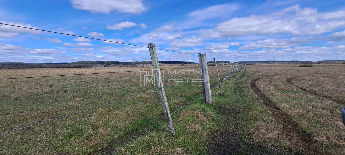 Campo Ref.952 - Venta Campo en Rivera Ruta 27 Cerros de la Calera 112 hás