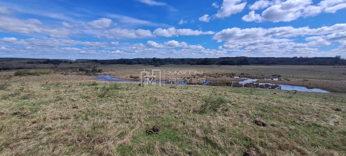 Campo Ref.952 - Venta Campo en Rivera Ruta 27 Cerros de la Calera 112 hás