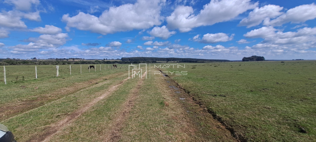 Campo Ref.952 - Venta Campo en Rivera Ruta 27 Cerros de la Calera 112 hás