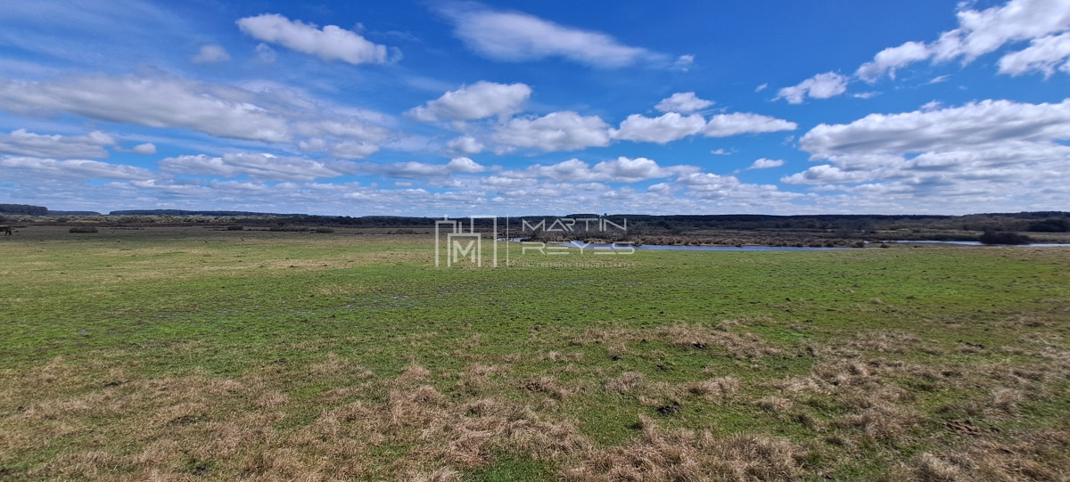 Campo Ref.952 - Venta Campo en Rivera Ruta 27 Cerros de la Calera 112 hás