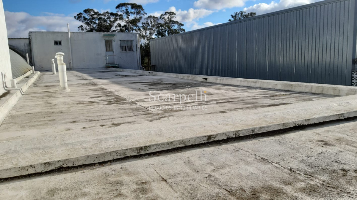 Apartamento ID.11665 - Excepcional Oportunidad de Renta! Complejo de 7 apartamentos en PH en Barrio La Sonrisa Maldonado
