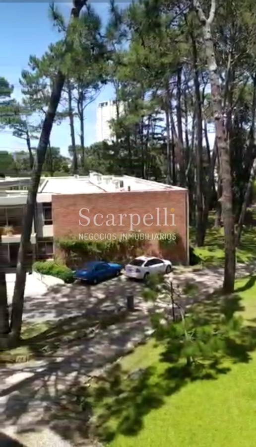 Apartamento ID.21170 - Arcobaleno: Parada 16 Mansa :  Complejo Emblemático de Punta del Este.-