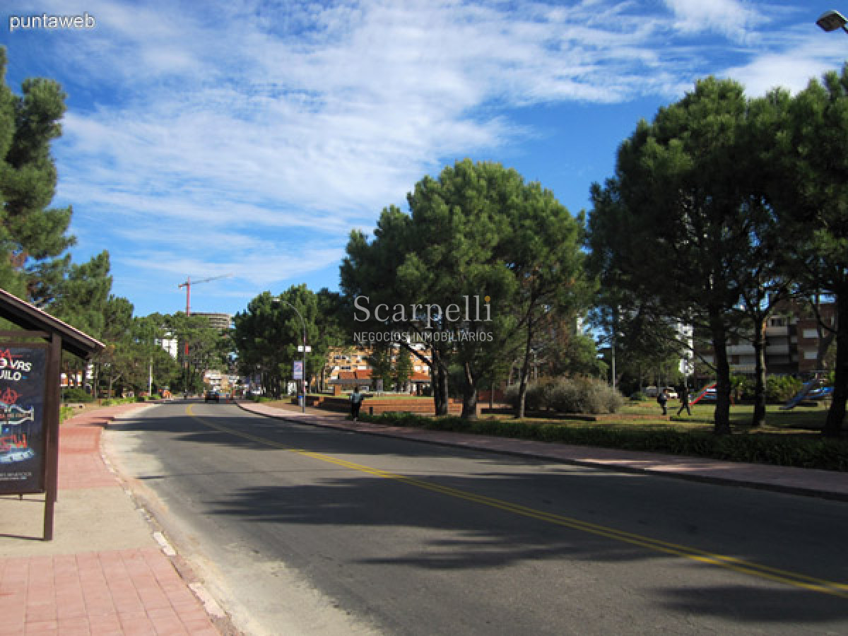 Apartamento ID.35888 - ALQUILER ANUAL APARTAMENTO PUNTA DEL ESTE PROXIMO PENÍNSULA 3 DORMITORIOS SERVICIO COMPLETO GRAN TERRAZA & BARBACOA + COCHERA.-