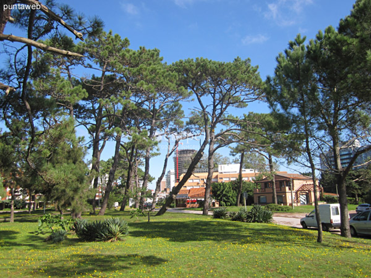 Apartamento ID.35888 - ALQUILER ANUAL APARTAMENTO PUNTA DEL ESTE PROXIMO PENÍNSULA 3 DORMITORIOS SERVICIO COMPLETO GRAN TERRAZA & BARBACOA + COCHERA.-