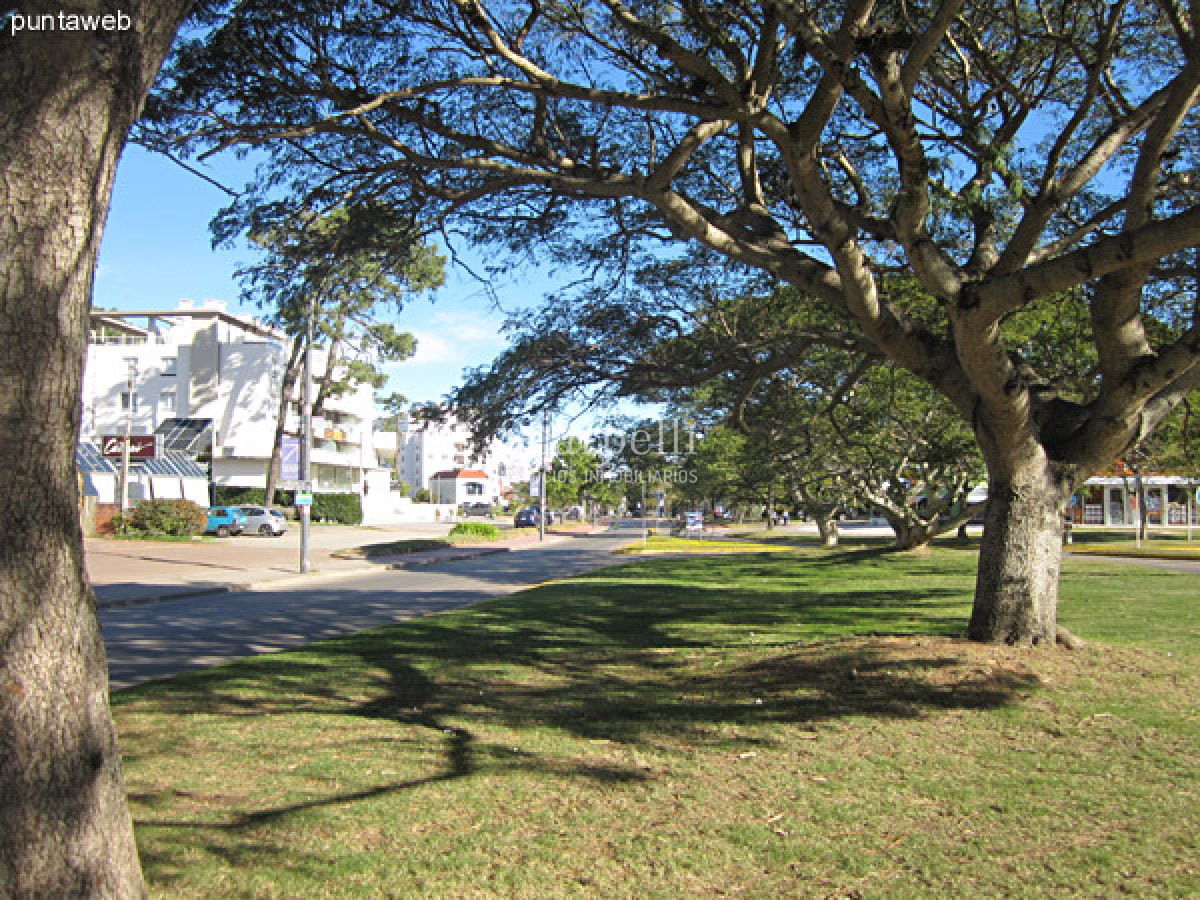 Apartamento ID.35888 - ALQUILER ANUAL APARTAMENTO PUNTA DEL ESTE PROXIMO PENÍNSULA 3 DORMITORIOS SERVICIO COMPLETO GRAN TERRAZA & BARBACOA + COCHERA.-