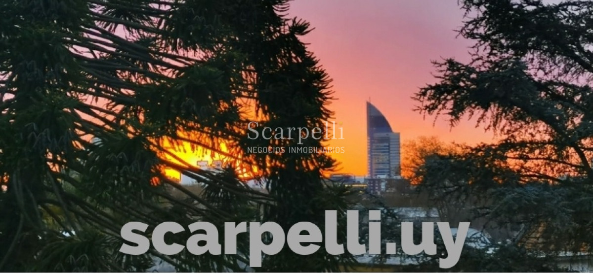 Apartamento ID.38401 - VENTA APARTAMENTO CENTRO ESTILO ART DECÓ 2 DORMITORIOS CONTRAFRENTE MUCHA LUZ Y MUY PROLIJO CON CALEFACCIÓN CENTRAL