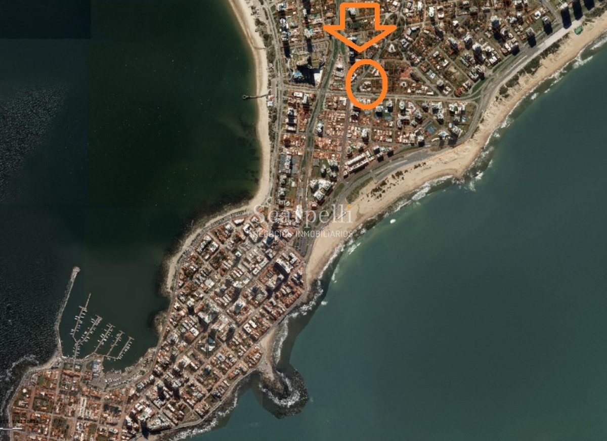 Apartamento ID.40019 - Punta del Este: Alquiler por Temporada 1 dormitorio con garage prox. Hotel Conrad