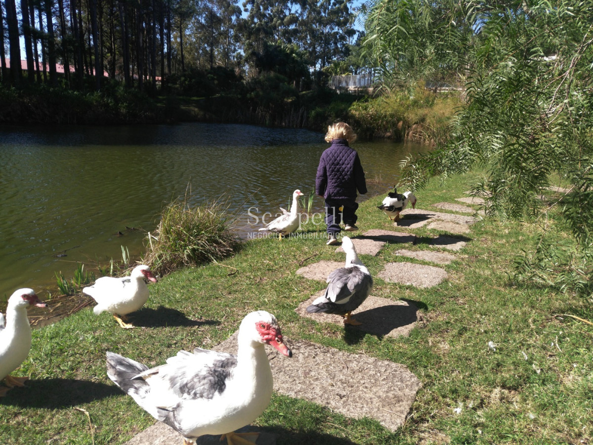 Apartamento ID.42612 - Apartamentos como a Estrenar en Barrio Privado con el mejor parquizado de la zona en un entorno exclusivo y apacible