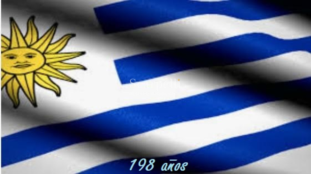 Apartamento ID.49613 - Alquiler Shangrilá Canelones Próximo Pque. Roosevelt y Bajada 8 Rambla Costanera Ancap 1 dorm fondito verde íntimo